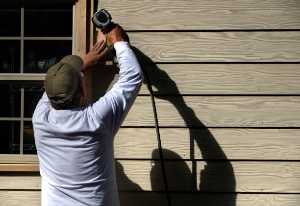 Affordable Siding Repair and Maintenance Services in Wadena, MN