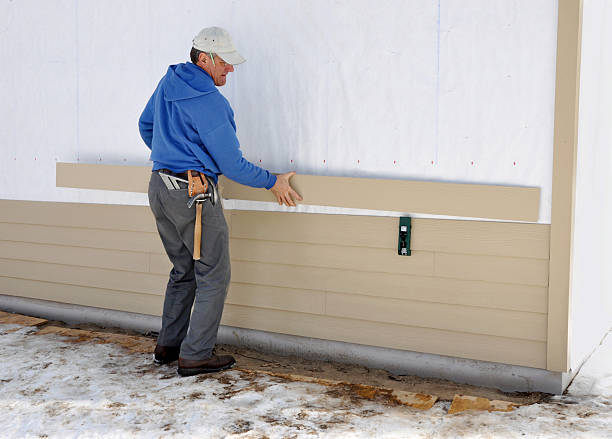 Best Siding Painting and Refinishing  in Wadena, MN